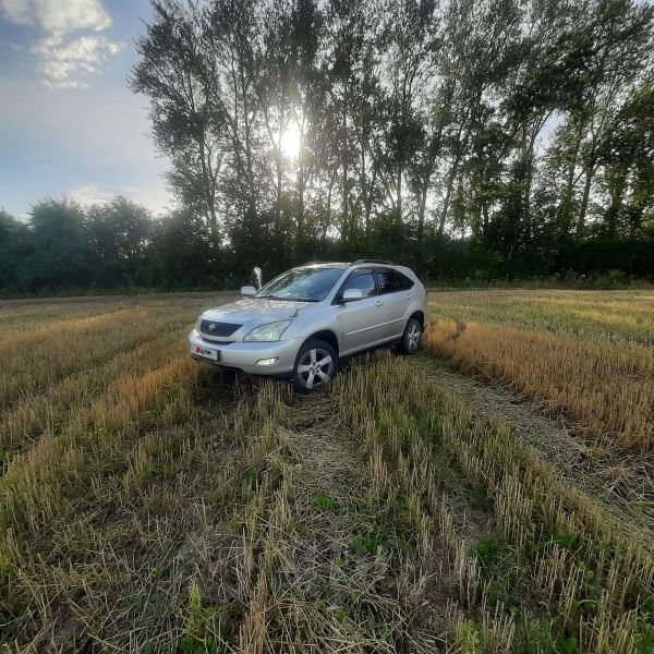 SUV   Toyota Harrier 2004 , 890000 ,  