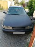  Nissan Pulsar 1997 , 100000 , -