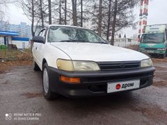 Универсал Toyota Corolla 1999 года, 280000 рублей, Новосибирск