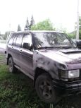 SUV   Isuzu Trooper 1993 , 285000 , 