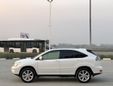 SUV   Lexus RX330 2003 , 1700000 , 