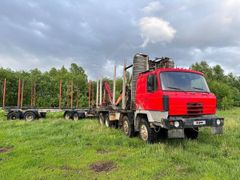 Лесовоз, сортиментовоз Tatra T815 2001 года, 3800000 рублей, Томск
