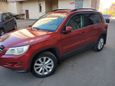 SUV   Volkswagen Tiguan 2009 , 620000 , -