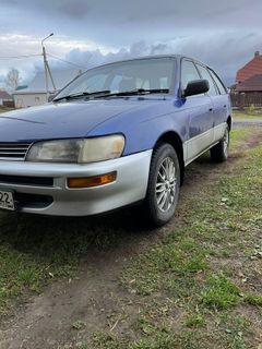 Универсал Toyota Corolla 1998 года, 290000 рублей, Барнаул