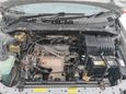    Toyota Ipsum 1996 , 344000 , -