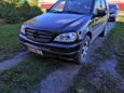 SUV   Mercedes-Benz M-Class 2001 , 340000 , 