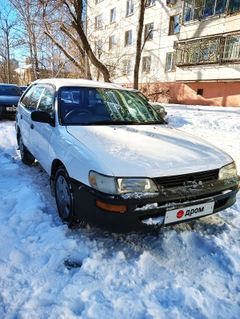 Универсал Toyota Corolla 2000 года, 290000 рублей, Хабаровск