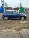  Peugeot 307 2001 , 229000 , 