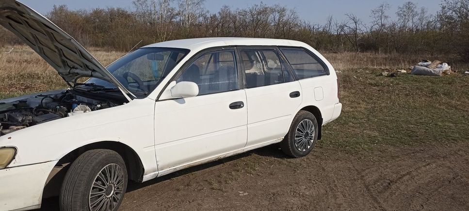  Toyota Corolla 1994 , 130000 , 