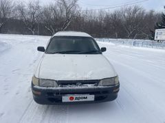 Универсал Toyota Corolla 1999 года, 250000 рублей, Красноярск