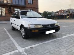 Универсал Toyota Corolla 2001 года, 160000 рублей, Благовещенск
