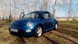  Volkswagen Beetle 1998 , 250000 , 