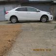  Toyota Corolla 2014 , 880000 , 