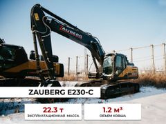Универсальный экскаватор Zauberg E230-C 2023 года, 9700591 рубль, Краснодар