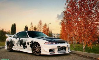  Nissan Skyline 1996 , 420000 , 