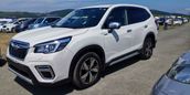 SUV   Subaru Forester 2019 , 2120000 , 