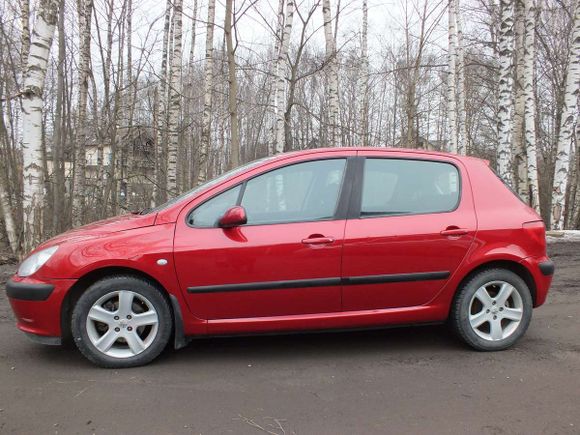 Peugeot 307 2003 , 295000 , 